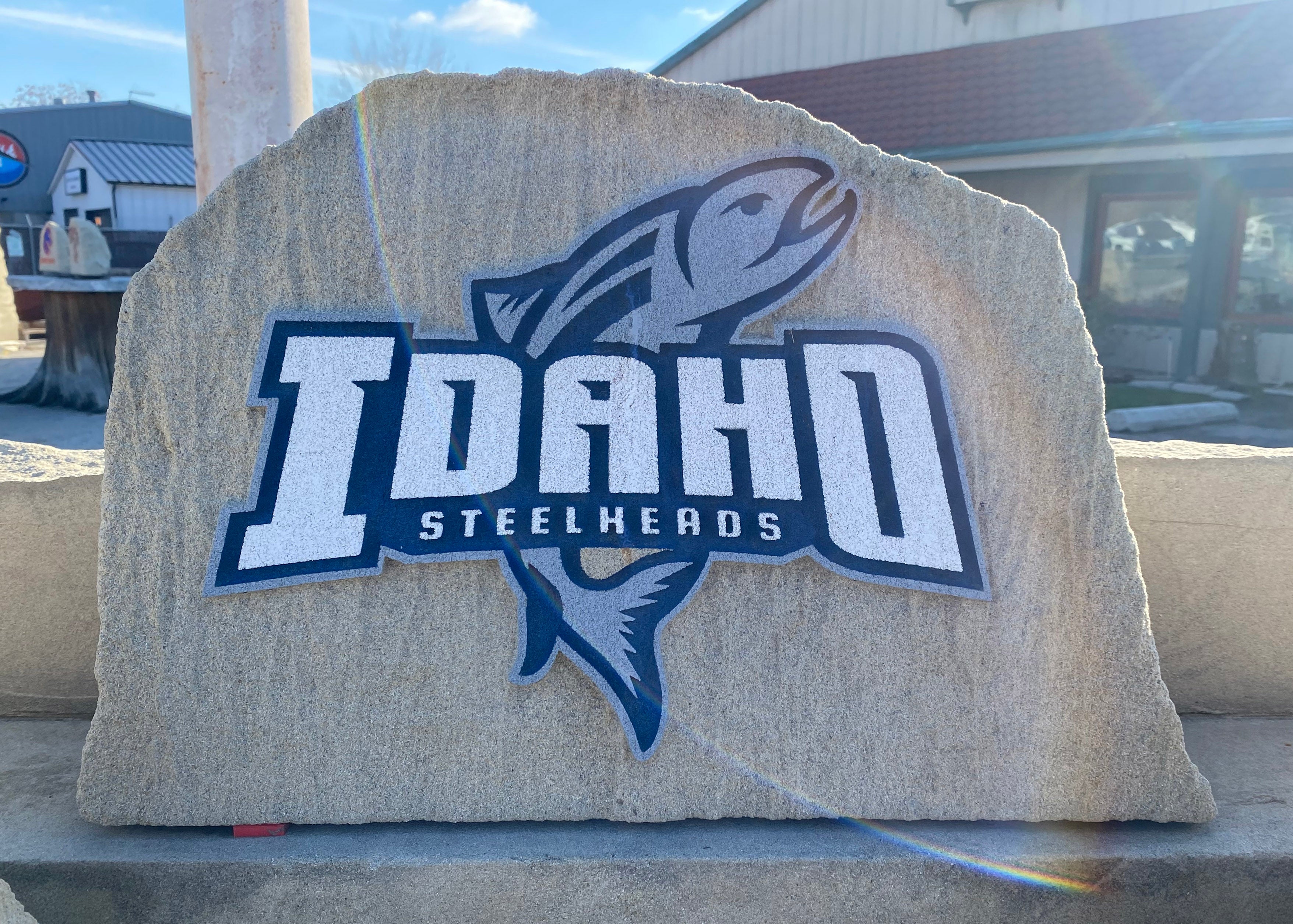Idaho Steelheads