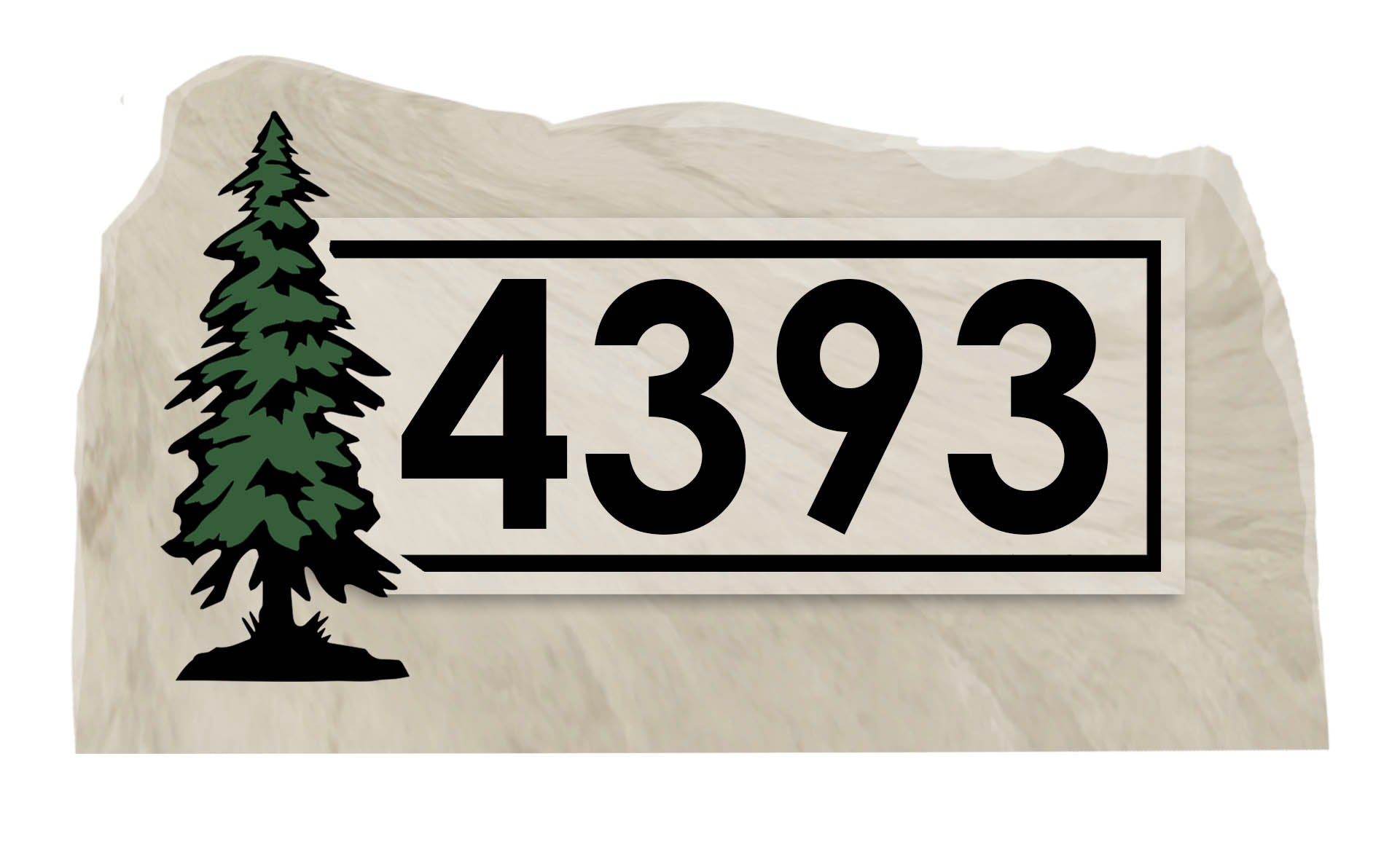 Tree Frame Address Rock