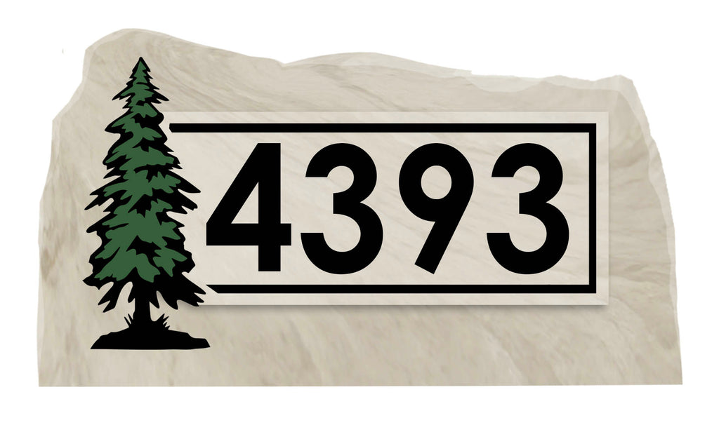 Tree Frame Address Rock